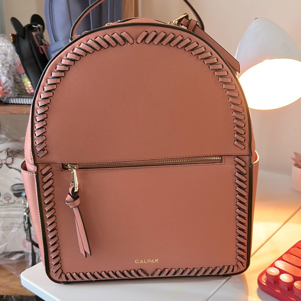 Calpak Designer Backpack.